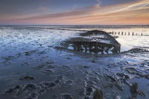 Salt Marsh Prints: Wierumerwad, Waddenzee