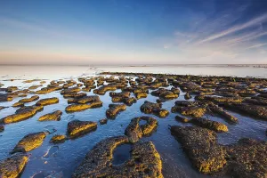 Sandbanks Prints: Wierumerwad, Waddenzee