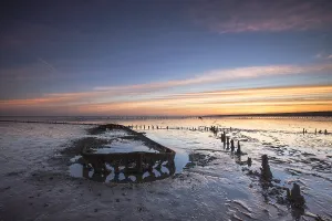 Salt Marsh Prints: Wierumerwad, Waddenzee