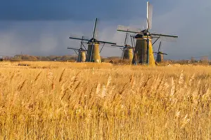 Unesco Prints: Windmills at Kinderdijk