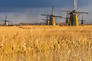 Unesco Prints: Windmills at Kinderdijk
