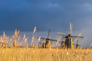 Unesco Prints: Windmills at Kinderdijk
