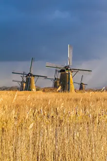 Unesco Prints: Windmills at Kinderdijk