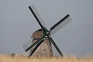 Images Dated 11th May 2008: Windmolen, Windmill