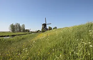 Images Dated 11th May 2008: Windmolen, Windmill