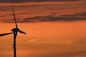 Windenergie Prints: windmolen, windmill