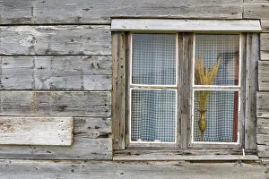 Images Dated 28th May 2016: Window