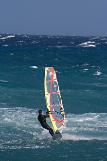 Surfing Prints: Windsurfer