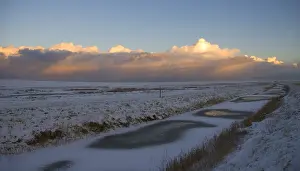 Lauwersmeer Prints: Winter