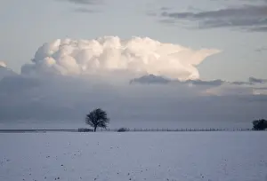 Lauwersmeer Prints: Winter