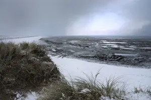Images Dated 29th December 2005: Winter