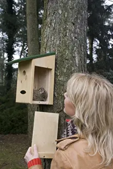 Images Dated 11th February 2006: Woman looking at nestbox, Vrouw in nestkast kijkend